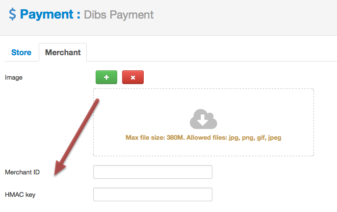 dibspayment